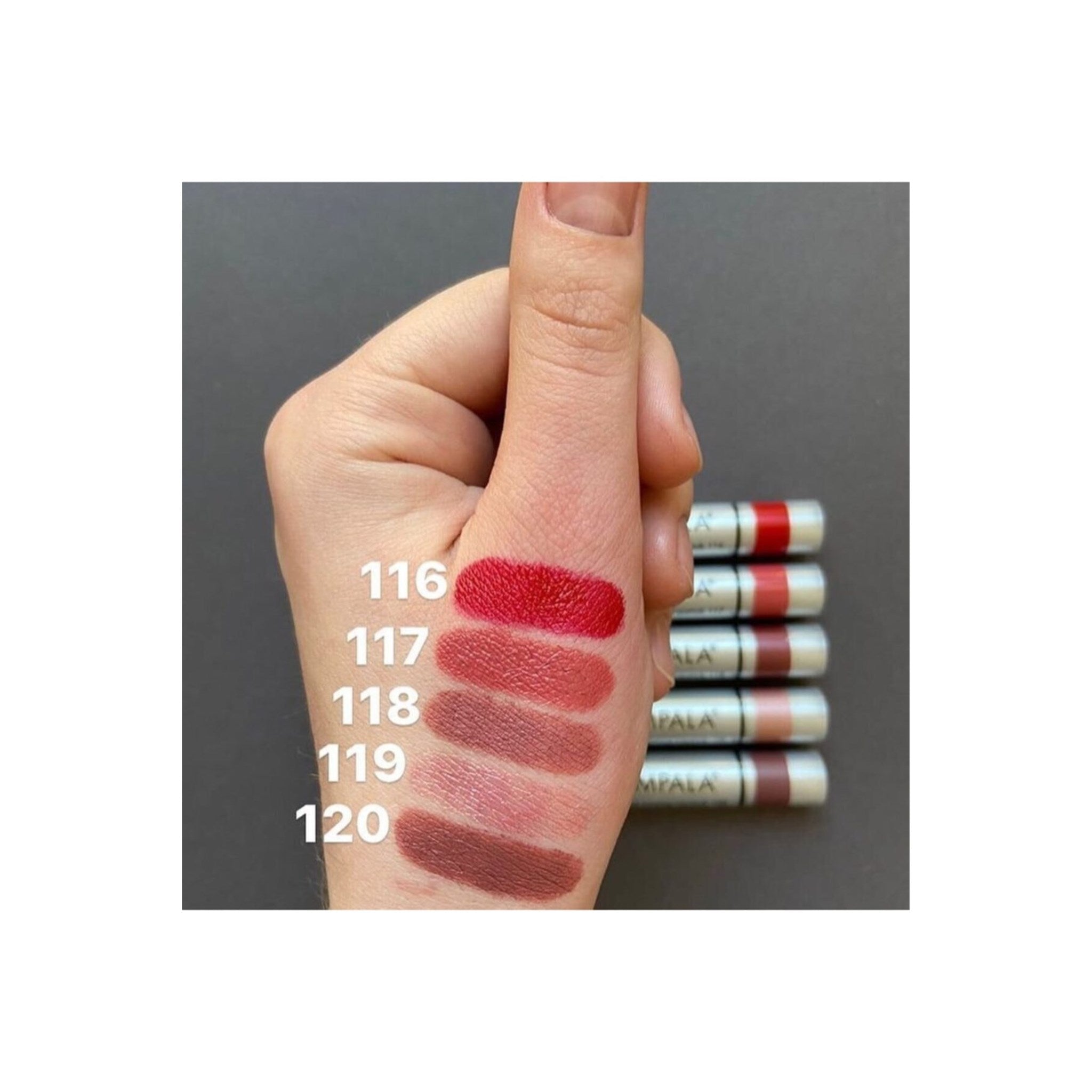 Ruj Pembe Kahverengi - Longlasting Lipstick No: 118